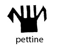 pettine-706212